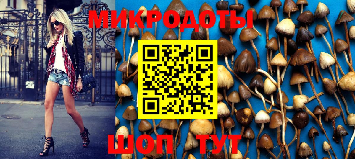 Галлюциногенные грибы GOLDEN TEACHER Губкин